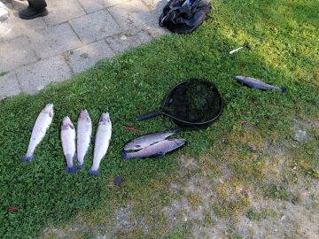 Fisketur til Drostrup